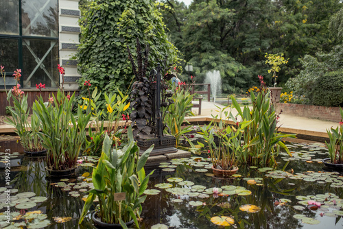 Photography Aptekarsky ogorod, Moscow, Russia, August 10 2019: Lush greenery surrounds a ser