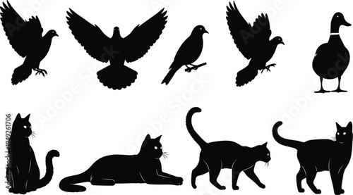 Black silhouettes of birds and cats on white background
