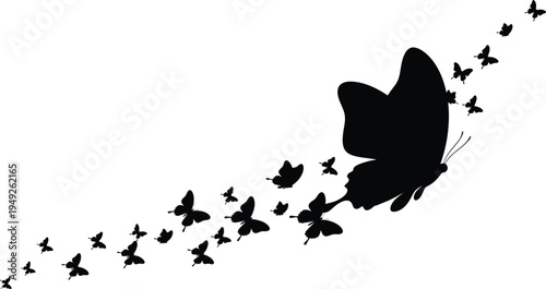 A large black butterfly dissolves into a stream of smaller silhouettes flying upward and away against a stark white background.
