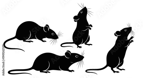 Set of black rat silhouettes in various poses on a white background.