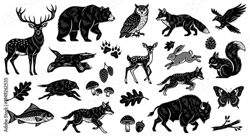 Collection of various wild animals and forest elements in a detailed black and white illustration style.