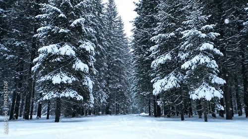 Snowy Forest Serenity A Winter Wonderland Escape.
