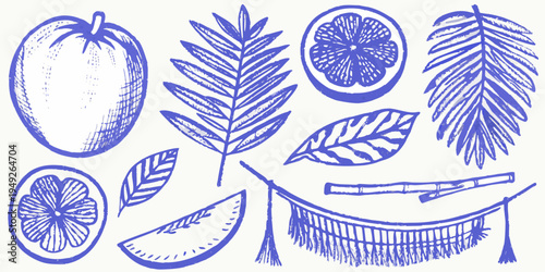 Blue botanical illustrations featuring tropical fruits leaves and hammock