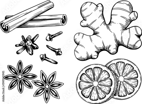 Hand Drawn Spices and Citrus Slices Isolated White Background ginger cinnamon