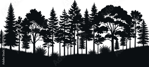 Black and white forest silhouette illustration with diverse tree species, coniferous and deciduous foliage, natural hilly terrain, bushes, grasses, biodiversity and environmental landscape concept
