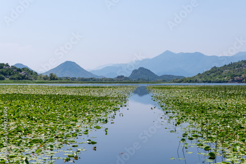 River Rijeka Crnojevića in Lake Skadar National Park, Montenegro