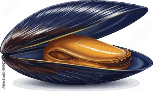 Vector Illustration of a Closed Mussel Shell with Pearl for Seafood and Marine Designs