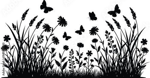 Wildflower meadow silhouettes with butterflies, grass and blooming field plants, natural garden border isolated on white background for nature vector illustration