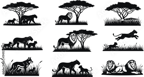 African safari wildlife silhouette set with lions, lioness and cubs under acacia trees, savanna grass landscape animals isolated on white background vector illustration
