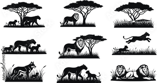 African safari wildlife silhouette set with lions, lioness and cubs under acacia trees, savanna grass landscape animals isolated on white background.