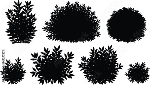 Banana plant and fruit silhouettes collection with tropical banana trees, bunch and single banana isolated on white background botanical vector illustration set