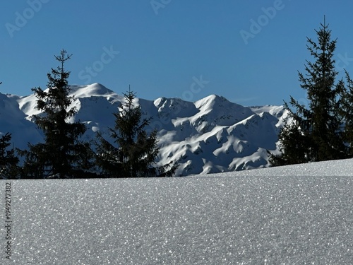 snowy mountain road