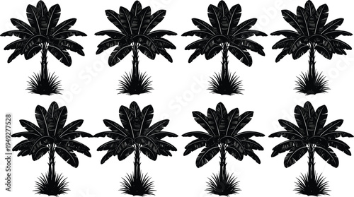 Collection of banana tree silhouettes with tropical leaves and grass base, exotic botanical plants isolated for jungle landscape design illustration