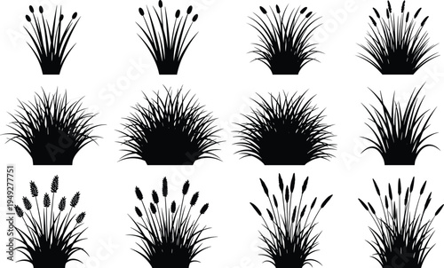 Collection of twelve black grass and reed plant silhouettes arranged in grid, botanical vector illustration for landscape design, nature elements, decorative graphic resources