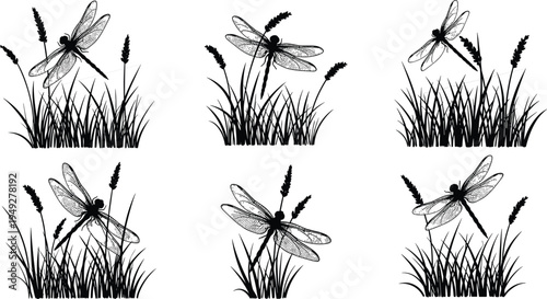 Dragonfly silhouettes with wild grass collection, flying insect botanical meadow elements isolated, nature wildlife illustration set for decorative design and natural background