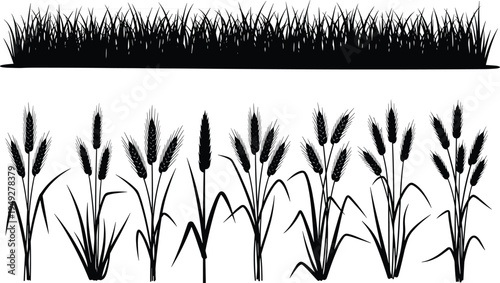 Grass lawn borders and wheat plant silhouettes collection, natural meadow vegetation elements isolated on white background for agriculture nature vector illustration.eps