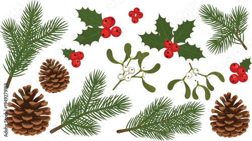 Holiday Greenery Vector Set Featuring Pine Branches, Holly, Mistletoe, and Pinecones for Christmas Decorations and Festive Illustrations