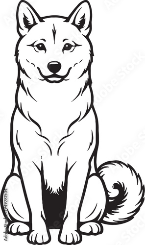 Shiba Inu Sitting Alert Front View Black and White Line Art Illustration