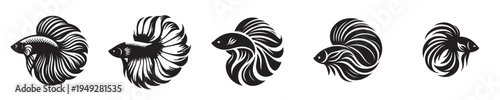 vector image of fish silhouetted on a white background
