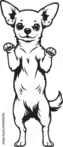 Chihuahua Standing On Hind Legs Begging Black and White Line Art Illustration