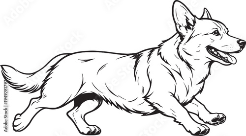 Corgi Running Short Stride Pose Black and White Line Art Illustration