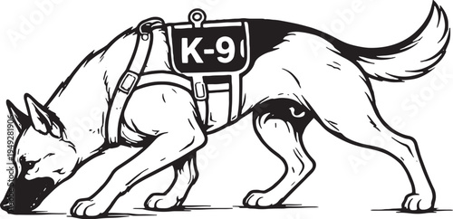 Belgian Malinois K9 Search Tracking Black and White Line Art Illustration
