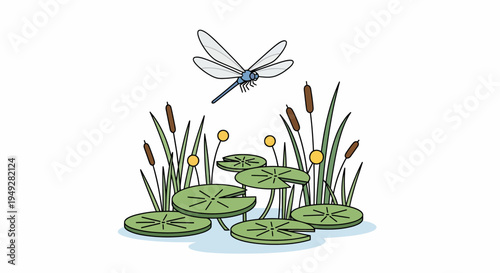 Dragonfly over lily pads.