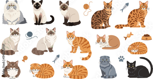Domestic Cat Breeds Vector Icon Set Featuring Persian, Siamese, Bengal, Scottish Fold, Tabby, and Other Cute Pet Cats with Toys and Accessories.