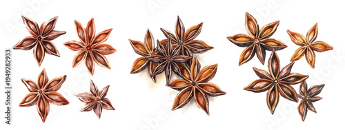 Collection of star anise painting set, Minimal yet artistic elements for creative designs. hand-drawn paint, Simple Illustration, A beautiful painting isolated on a white background
