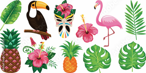 Tropical illustration featuring toucans flamingos and lush botanical elements