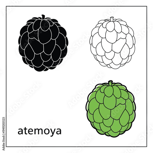 Atemoya fruit icon set with black silhouette and colored line art for vegetarian concepts