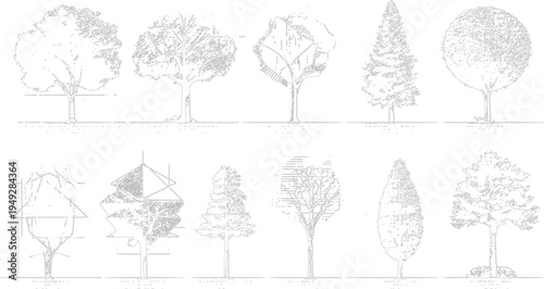 Ten distinct line trees in a grid formation with varied foliage and trunk styles nature