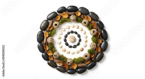 Serene circular arrangement of black stones, seashells, and moss