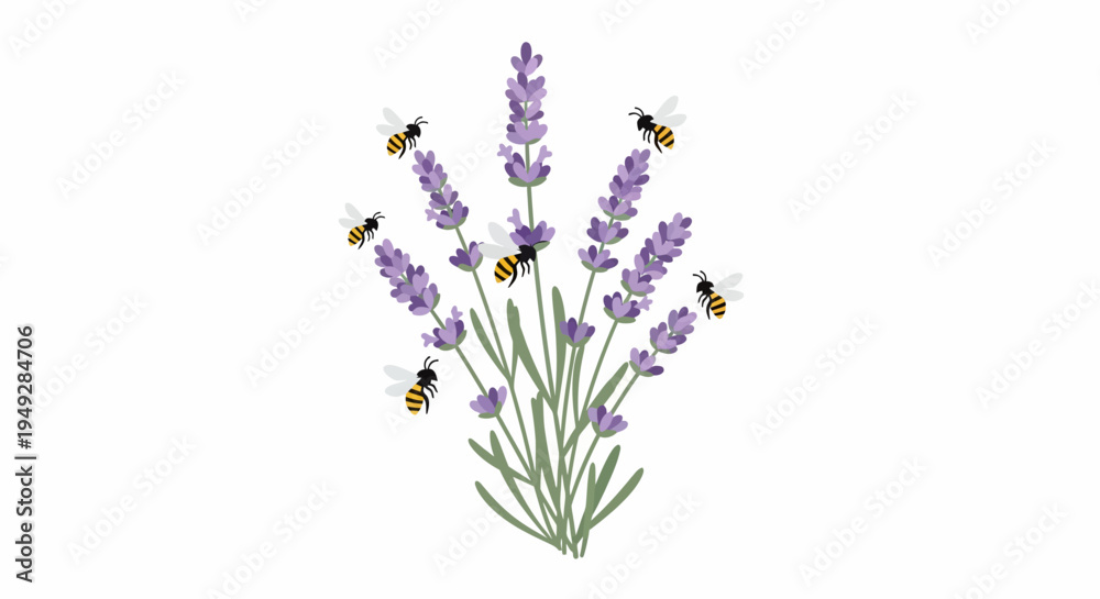 Obraz premium Lavender Flowers with Bees.