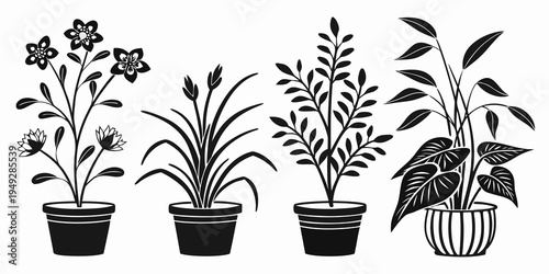Four distinct potted plants with varying foliage and flowers