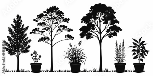 Silhouettes of various trees and plants in a garden setting