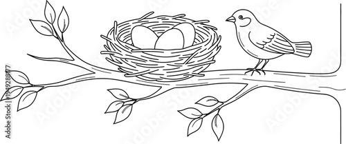 Delightful hand-drawn line art illustration captures a beautiful little bird protectively perched next to its humble nest containing three delicate eggs on a sturdy tree branch with fresh leaves.