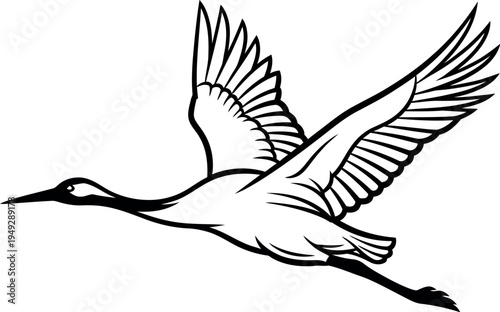 Elegant black and white illustration of a graceful crane or heron bird in full flight with outstretched wings, capturing its serene movement and natural beauty as it soars through the sky.