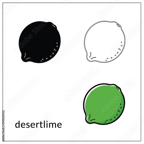 Desert lime fruit black silhouette outline and illustration on transparent background