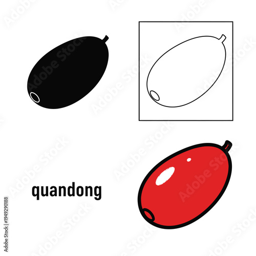 Quandong fruit illustration set with black silhouette outline and colorful cartoon version