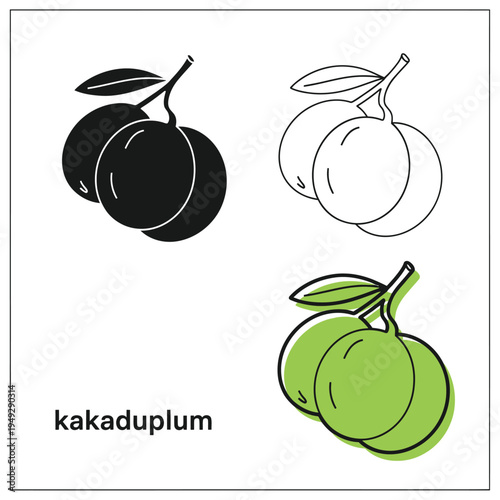 Kakadu plum fruit icons including silhouette line art and green colored vector illustration