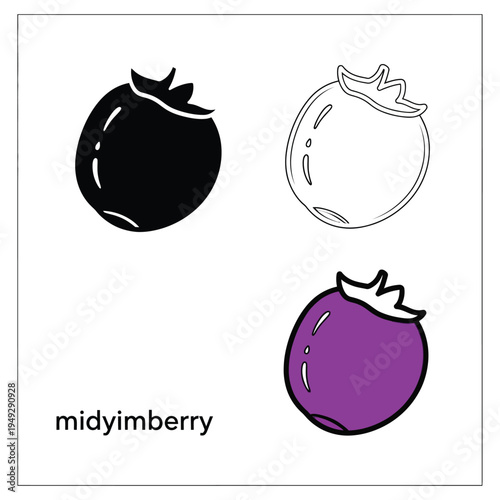 Set of midyimberry vector illustration with black, outline, and colorful style