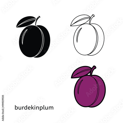 Set of burdekin plum vector illustration with black, outline, and colorful style