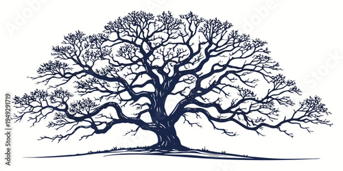 A majestic tree with sprawling branches and intricate details in a black and white illustration