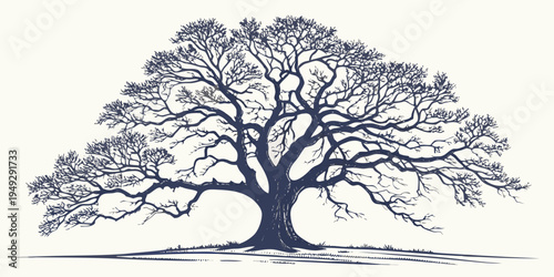 A majestic tree with sprawling branches and intricate details in a dark blue hue