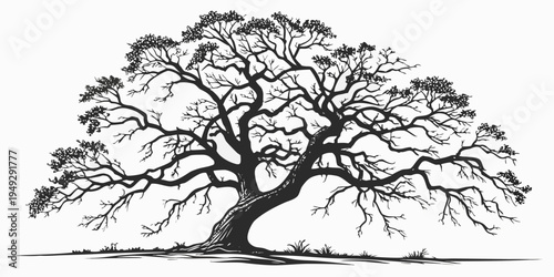 A majestic tree with sprawling branches and intricate details stands tall against a plain background