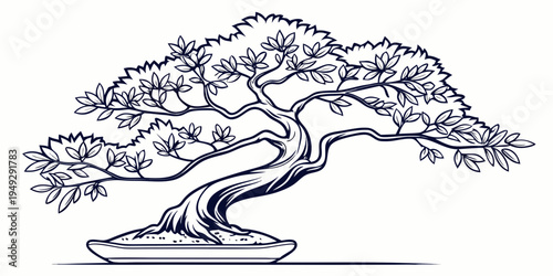 A beautifully detailed illustration of a bonsai tree with intricate branches and roots
