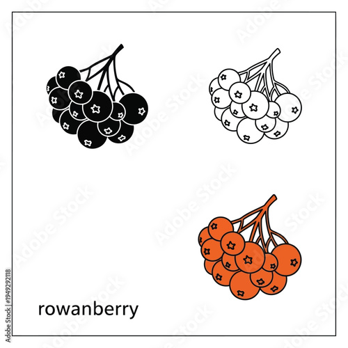 Rowanberry illustration set featuring black outline and orange berry designs