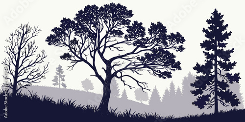 Silhouettes of trees against a dark sky with a full moon.