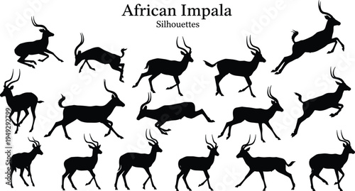 African impala silhouette collection, antelope wildlife jumping and running poses set, savanna animal silhouettes isolated, African safari wildlife design elements
